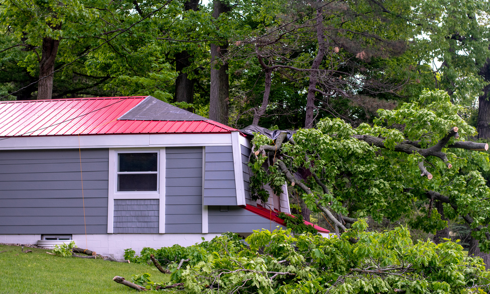 Home that's in tax foreclosure with a broken tree limb that fell on top of the roof.